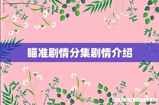 瞄准剧情分集剧情介绍