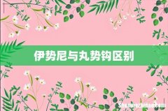 伊势尼与丸势钩区别