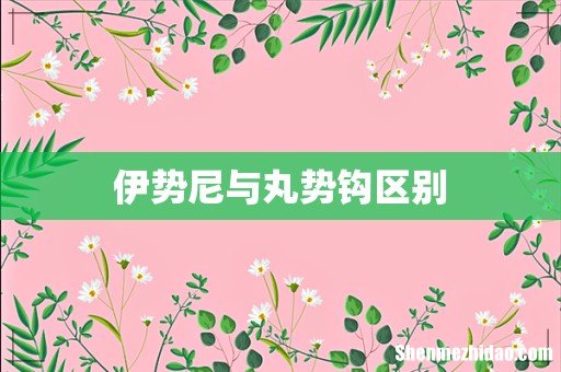 伊势尼与丸势钩区别