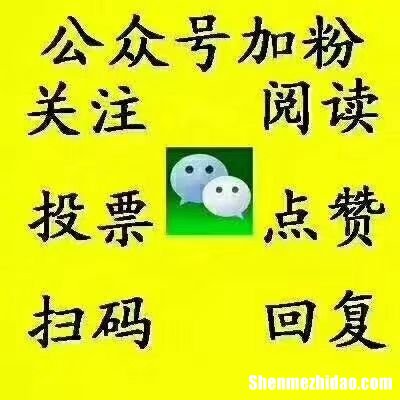 微信人工投票怎么投十票价格多少钱一票 确实有微信投票10元1000票,人工投票最低多少钱一票