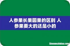 人参果长果圆果的区别 人参果要大的还是小的