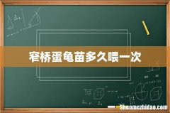 窄桥蛋龟苗多久喂一次