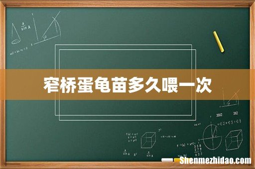 窄桥蛋龟苗多久喂一次