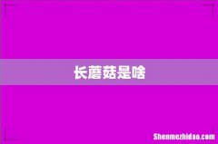 长蘑菇是啥