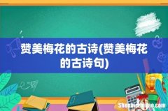 赞美梅花的古诗句 赞美梅花的古诗