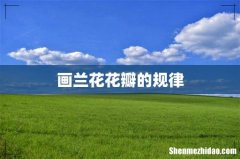 画兰花花瓣的规律