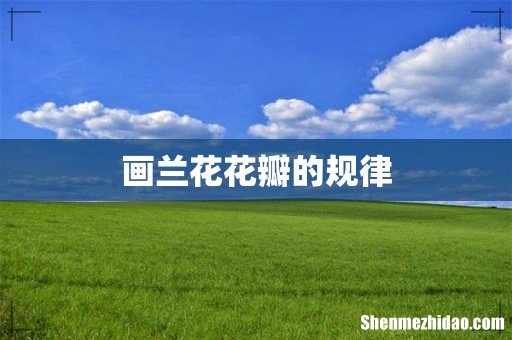 画兰花花瓣的规律