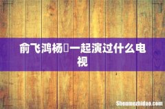 俞飞鸿杨玏一起演过什么电视