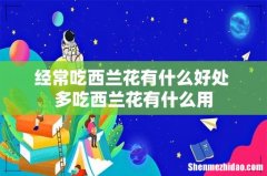 经常吃西兰花有什么好处 多吃西兰花有什么用