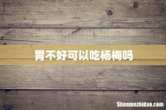 胃不好可以吃杨梅吗