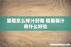 葡萄怎么榨汁好喝 喝葡萄汁有什么好处
