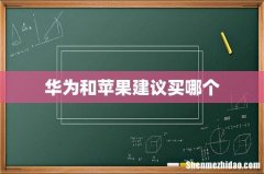 华为和苹果建议买哪个