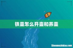 铁壶怎么开壶和养壶