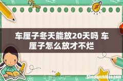车厘子冬天能放20天吗 车厘子怎么放才不烂
