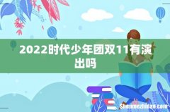 2022时代少年团双11有演出吗