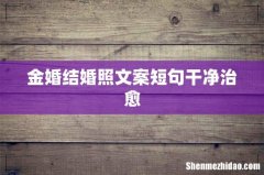 金婚结婚照文案短句干净治愈