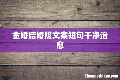 金婚结婚照文案短句干净治愈