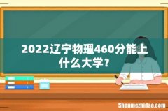 2022辽宁物理460分能上什么大学？