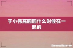 于小伟高圆圆什么时候在一起的