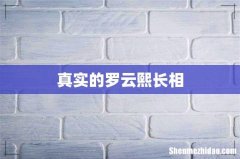 真实的罗云熙长相