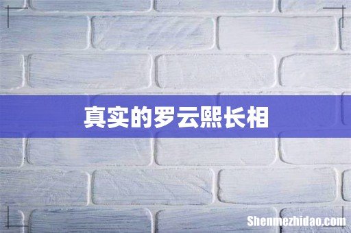 真实的罗云熙长相