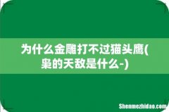 枭的天敌是什么- 为什么金雕打不过猫头鹰
