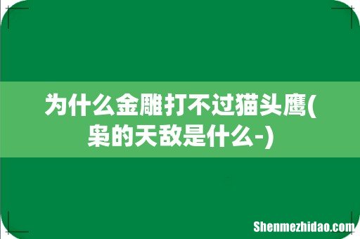 枭的天敌是什么- 为什么金雕打不过猫头鹰