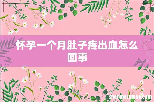 怀孕一个月肚子疼出血怎么回事