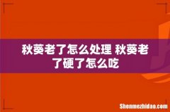 秋葵老了怎么处理 秋葵老了硬了怎么吃