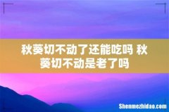 秋葵切不动了还能吃吗 秋葵切不动是老了吗