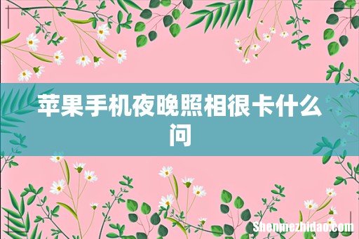苹果手机夜晚照相很卡什么问