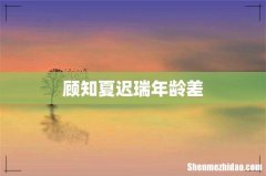 顾知夏迟瑞年龄差
