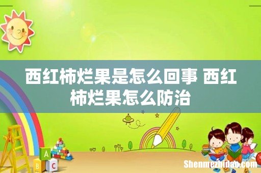 西红柿烂果是怎么回事 西红柿烂果怎么防治