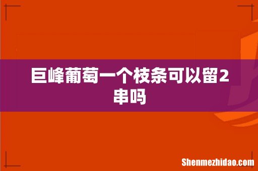 巨峰葡萄一个枝条可以留2串吗