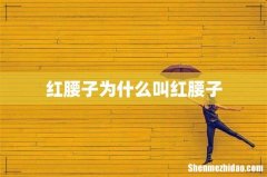 红腰子为什么叫红腰子