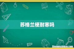 苏格兰梗耐寒吗