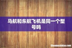 马航和东航飞机是同一个型号吗