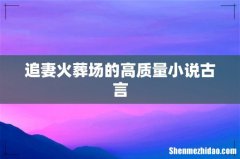 追妻火葬场的高质量小说古言