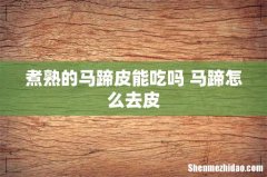 煮熟的马蹄皮能吃吗 马蹄怎么去皮
