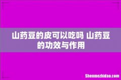 山药豆的皮可以吃吗 山药豆的功效与作用