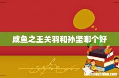 咸鱼之王关羽和孙坚哪个好