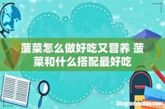 菠菜怎么做好吃又营养 菠菜和什么搭配最好吃