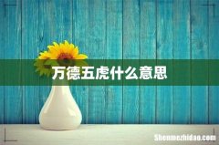 万德五虎什么意思