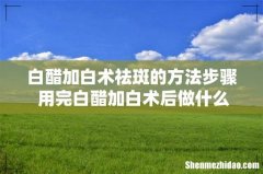 白醋加白术祛斑的方法步骤 用完白醋加白术后做什么