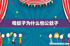 母蚊子为什么怕公蚊子