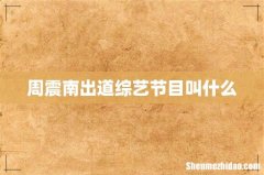 周震南出道综艺节目叫什么