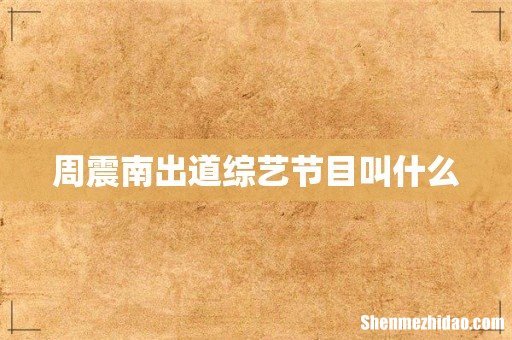 周震南出道综艺节目叫什么