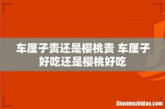 车厘子贵还是樱桃贵 车厘子好吃还是樱桃好吃