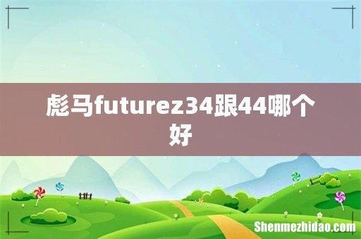 彪马futurez34跟44哪个好