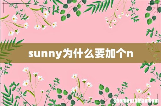 sunny为什么要加个n